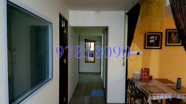Blk 316C Anchorvale Link (Sengkang), HDB Executive #135470602